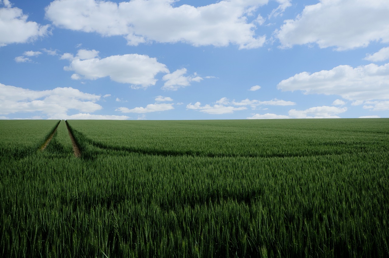 What is Regenerative Agriculture?